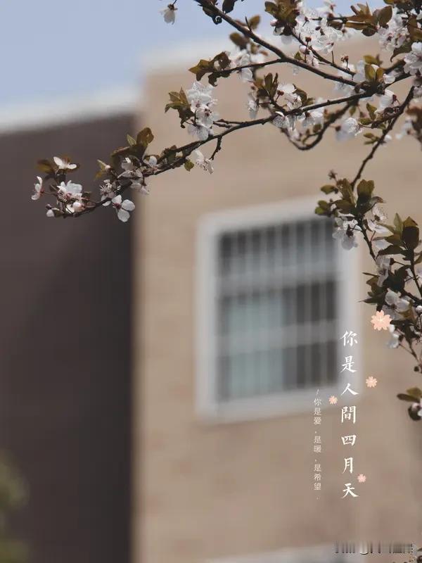 今年春天最想实现的心愿 今年春天，清朗天气让心情格外舒畅，也让心愿愈发清晰。有人