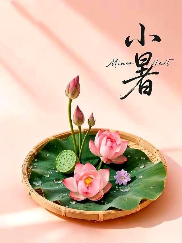 今天小暑，老辈人那套压箱底的“规矩”又被翻出来了。
别嫌烦，据说这里面藏着让你顺