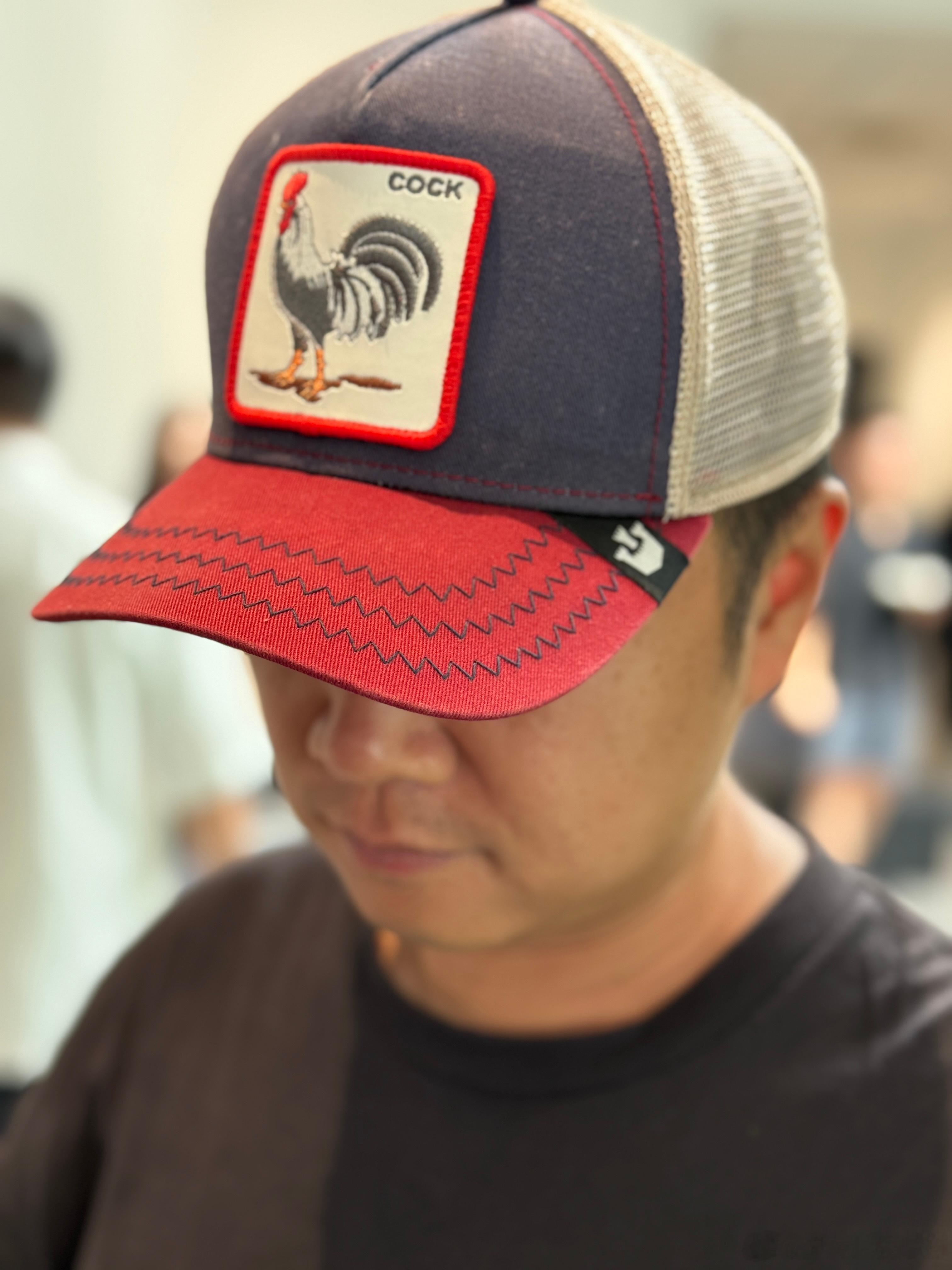 的帽子有点东西一看就是胡卓配 