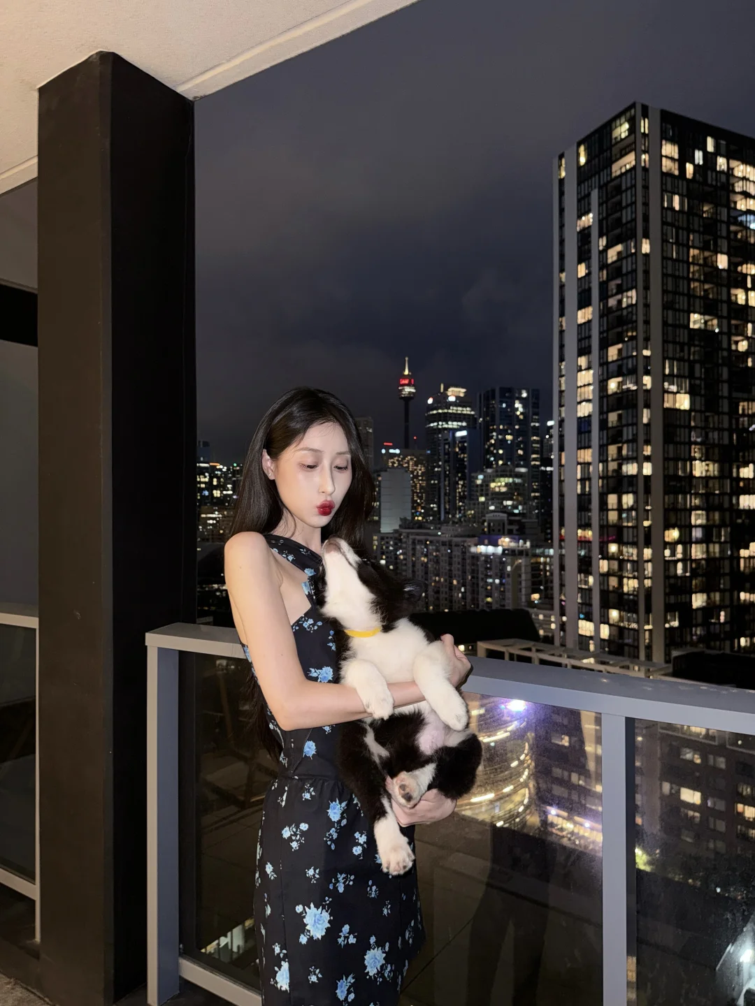 姨姨们 帮我取个名字吧🐶