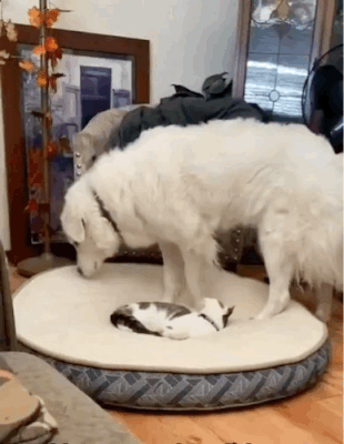 多少有一点，对不起自己的个头。