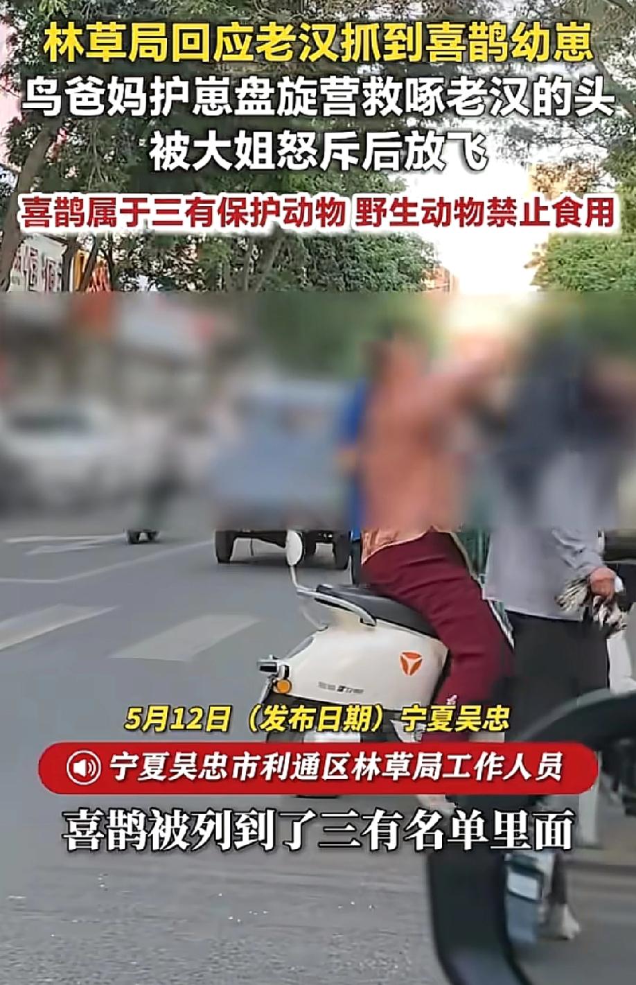 活该！掏鸟窝的时候没人拦，鸟爸妈啄头的时候倒知道喊疼了。

5月12日，街头。一