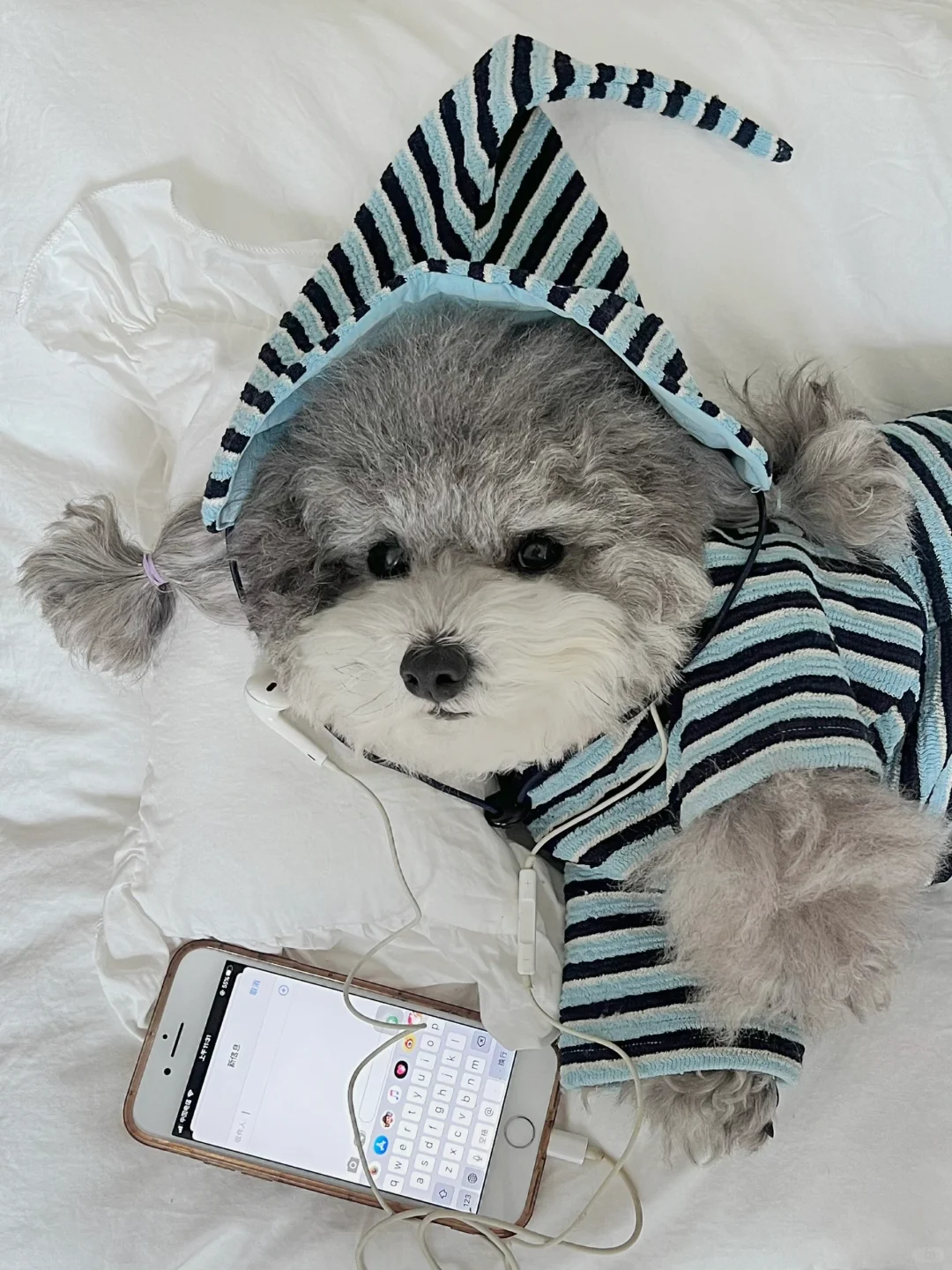 紫啧～想你可以给你发信息吗