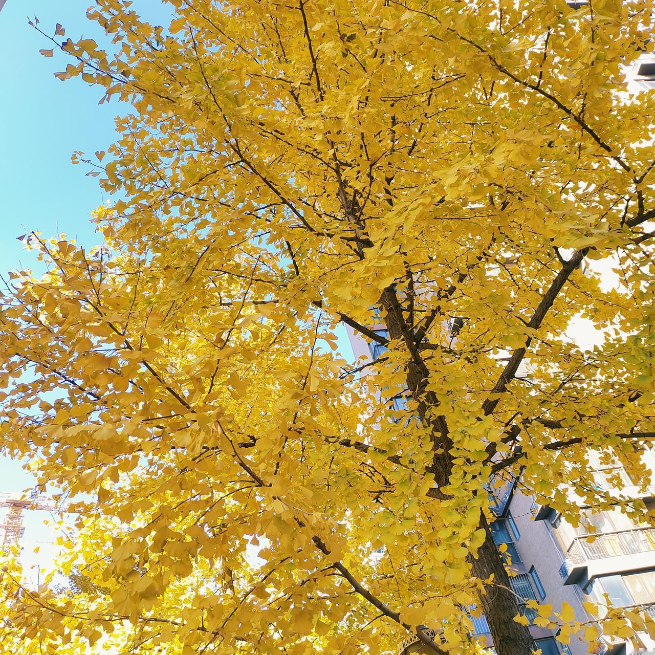 借钱迟迟不还怎么办？
闺蜜心地善良，朋友有难，她一定是两肋插刀的那种人。

最近