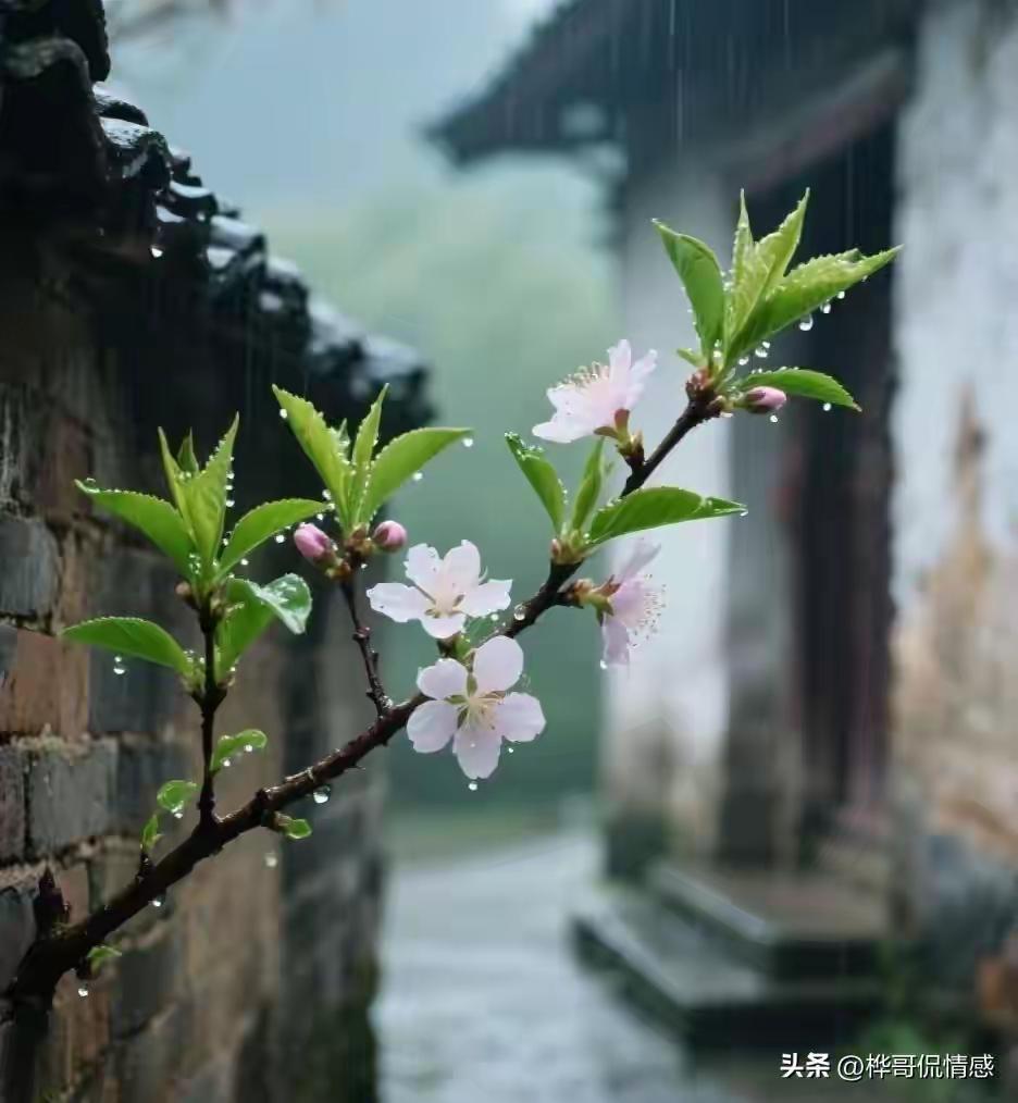 微笑是剂良药：把日子的褶皱，熨烫成草莓味的甜

诸位朋友，今儿咱们单说一桩藏在“