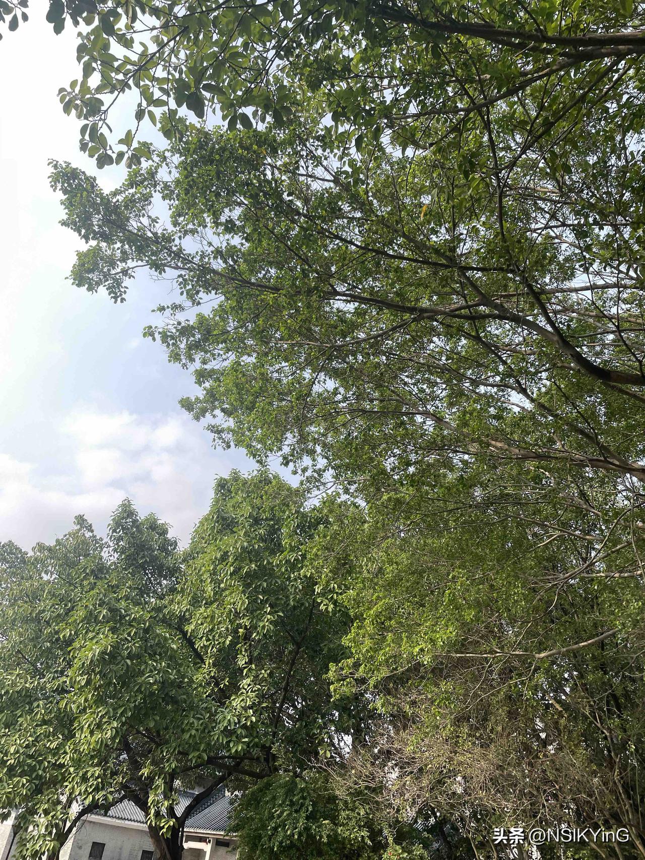 执笔写下热爱，镜头捕捉生活，点亮2026的晨光。