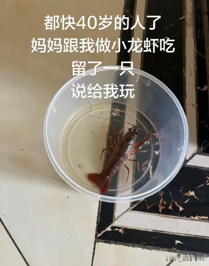 没经历过，很是羡慕啊🌺