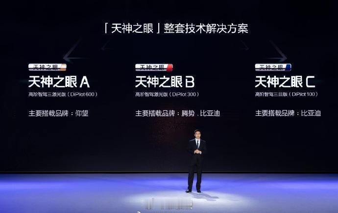 2024年是中国新能源汽车市场全面爆发的一年，而比亚迪宋家族以全年累计销量近10