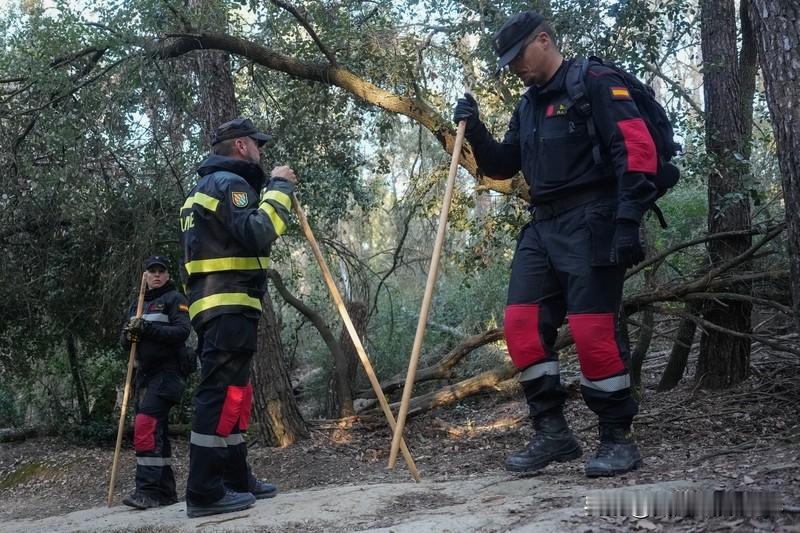 李嘉诚大宅外传异味警方发现野猪尸体 1月22日网上流传一段影片，好多警车、消防车