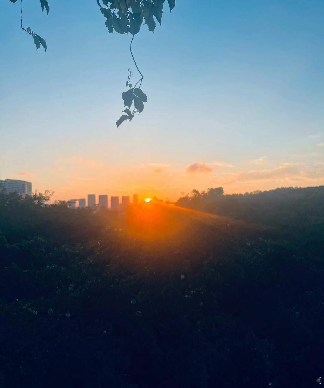 什么？辛芷蕾发微博了？辛芷蕾[超话]｜辛芷蕾 ​​​