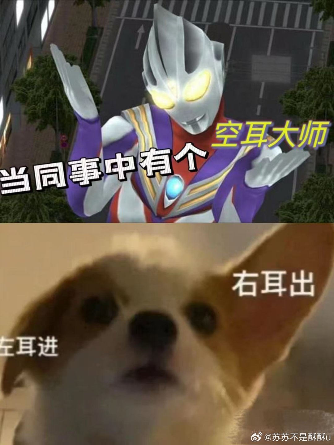 你听过最离谱的空耳把“别熬夜”听成“别捞月”，离谱空耳笑料百出，可频繁空耳不是小