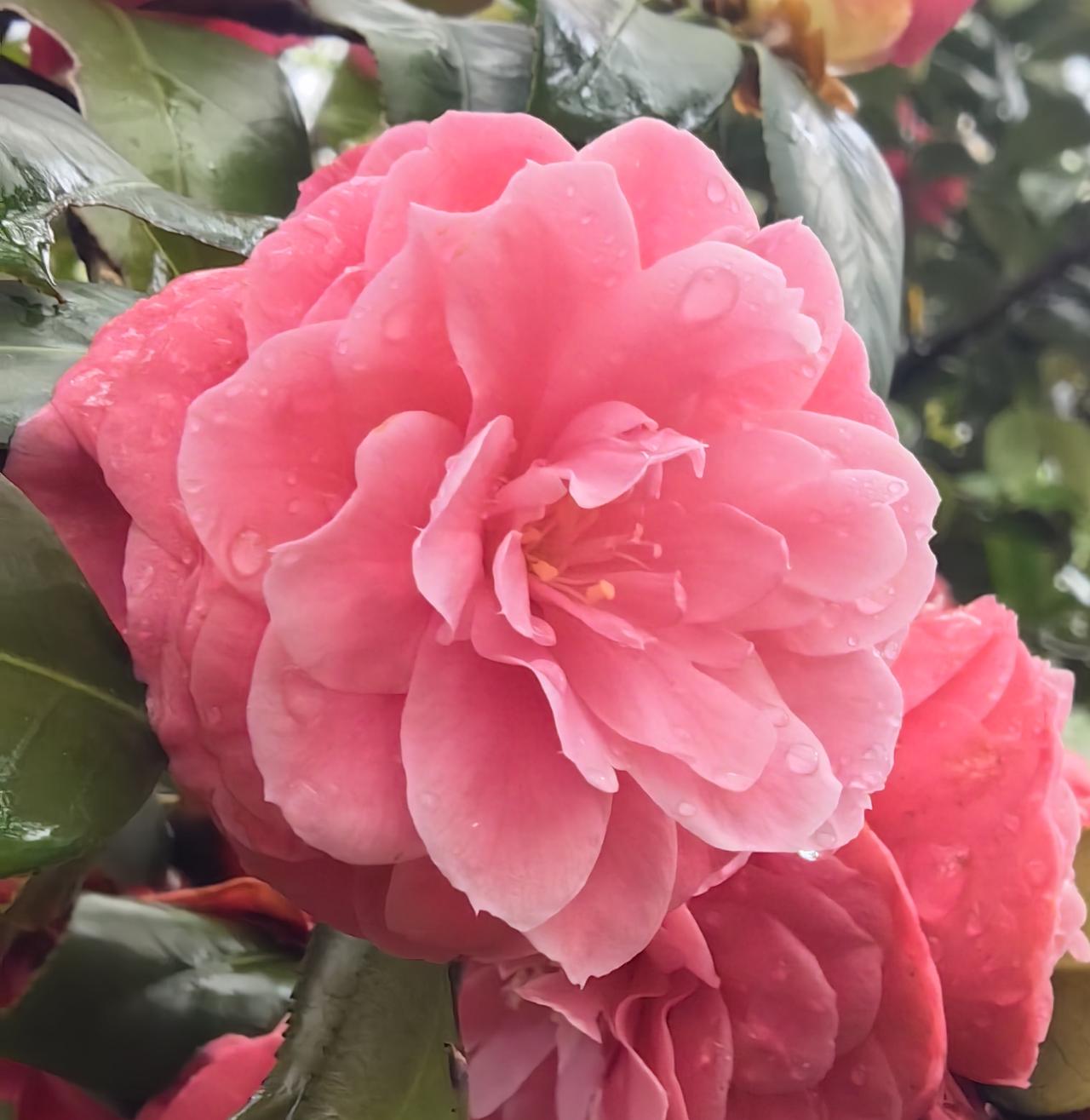 为什么说海昌智能正股门槛不会高于420万元？
主要基于三个因素：一是中科仪进行网