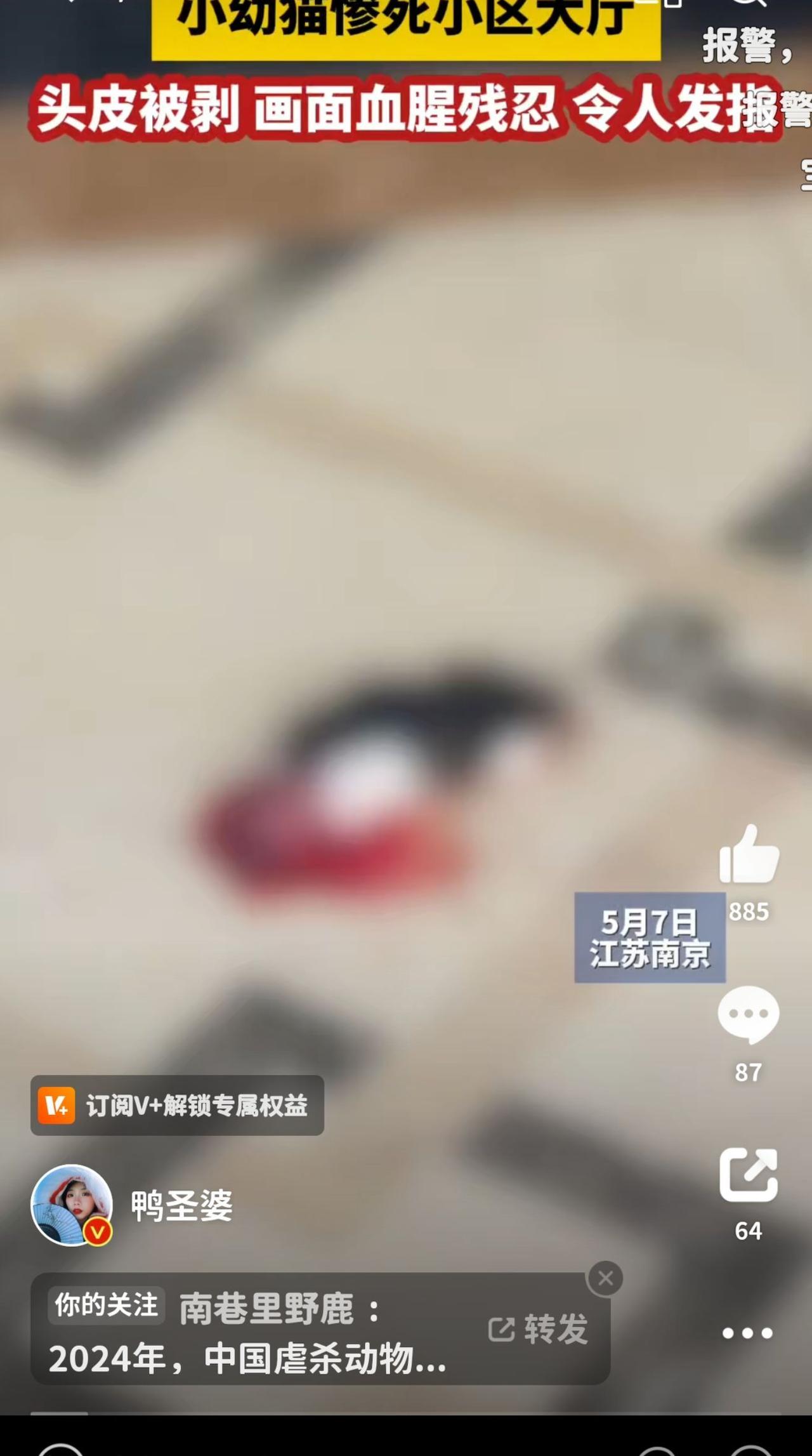 大家转发——
小幼猫惨死于南京某小区大厅网友爆料!5月7日下午，江苏省南京市浦口