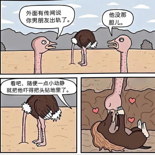 每日一图5.3