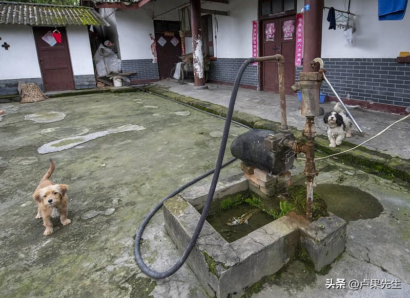 聊一聊退休生活的感受退休后住父母留在农村的房屋，院内自有水井，自吸泵打开，把院内