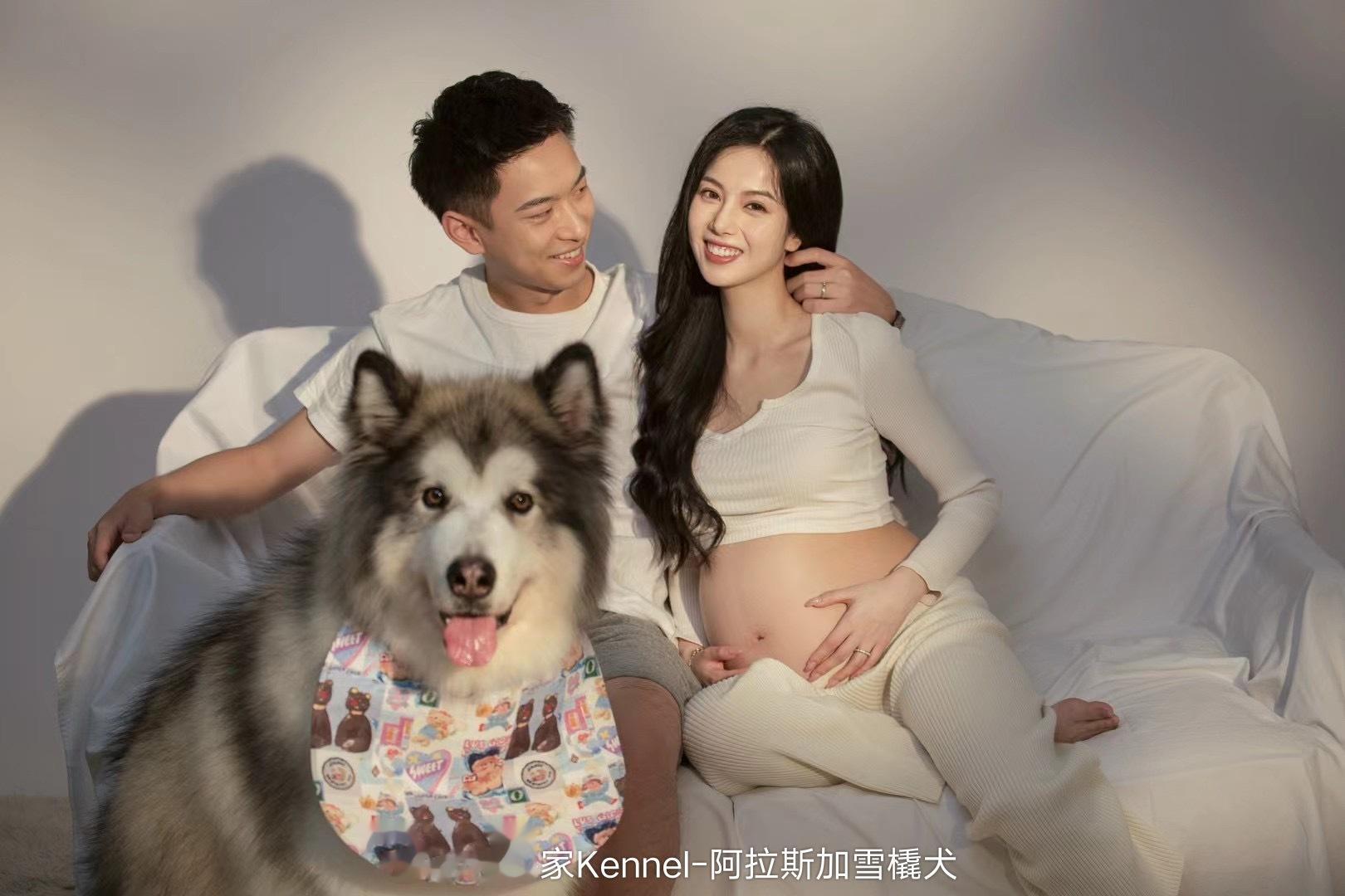 一只叫妥妥的阿拉斯加 要当哥哥啦【客户回访】 ​​​