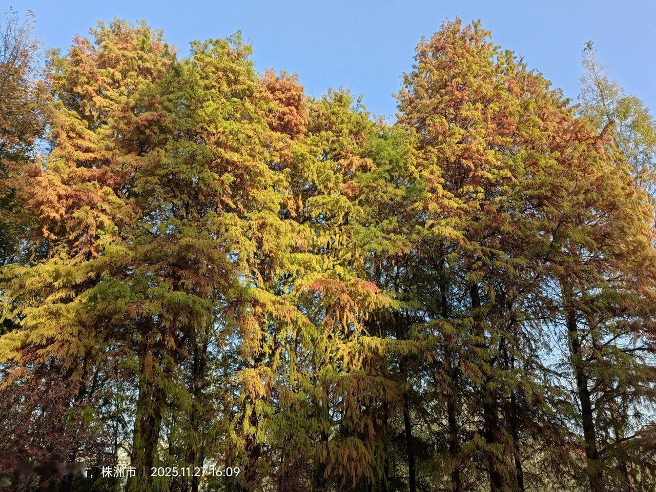 到株洲了,株洲有什么好玩的地方?株洲湘江风光带国家水利风景区