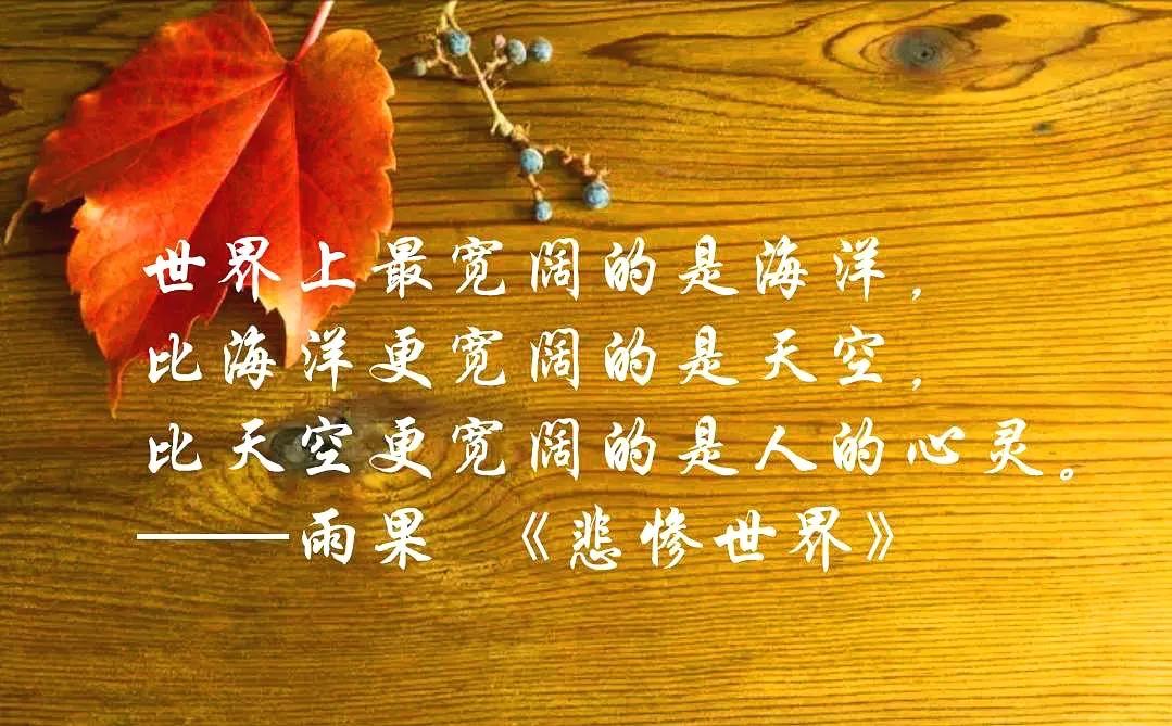 作为炮灰的人，总是对炮手充满崇敬。——维克多.雨果