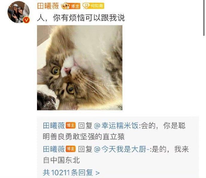 田曦薇猫猫客服在线回复家人们快来看，田曦薇用猫咪口吻回复粉丝，语气软软萌萌，简直