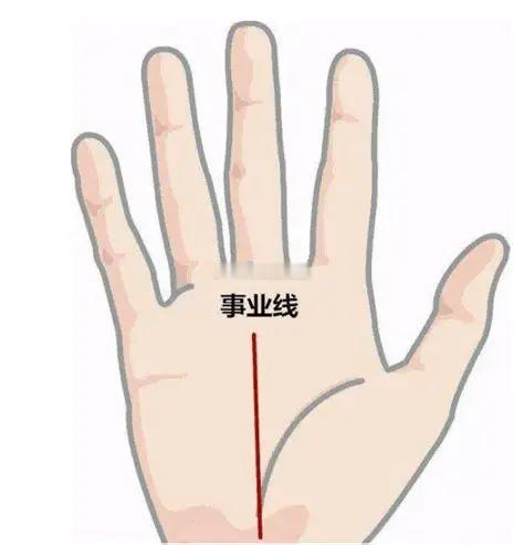 事业线，又称命运线，从掌心向上延伸。在2026年，这条线反映的是对社会资源、行业
