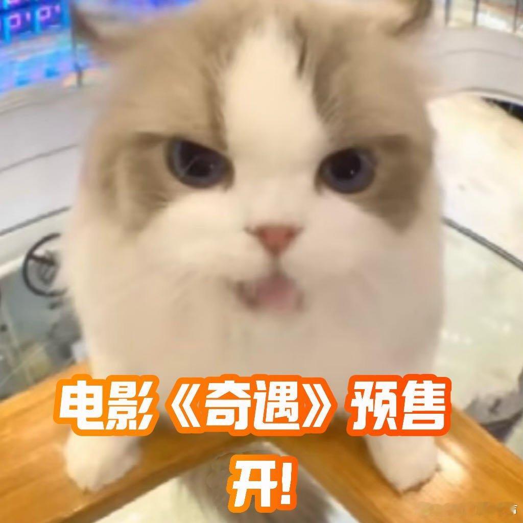 喜剧电影奇遇预售开启这是暑假第一部喜剧吗？每个档期都得有喜剧片才好，暑期终于有喜