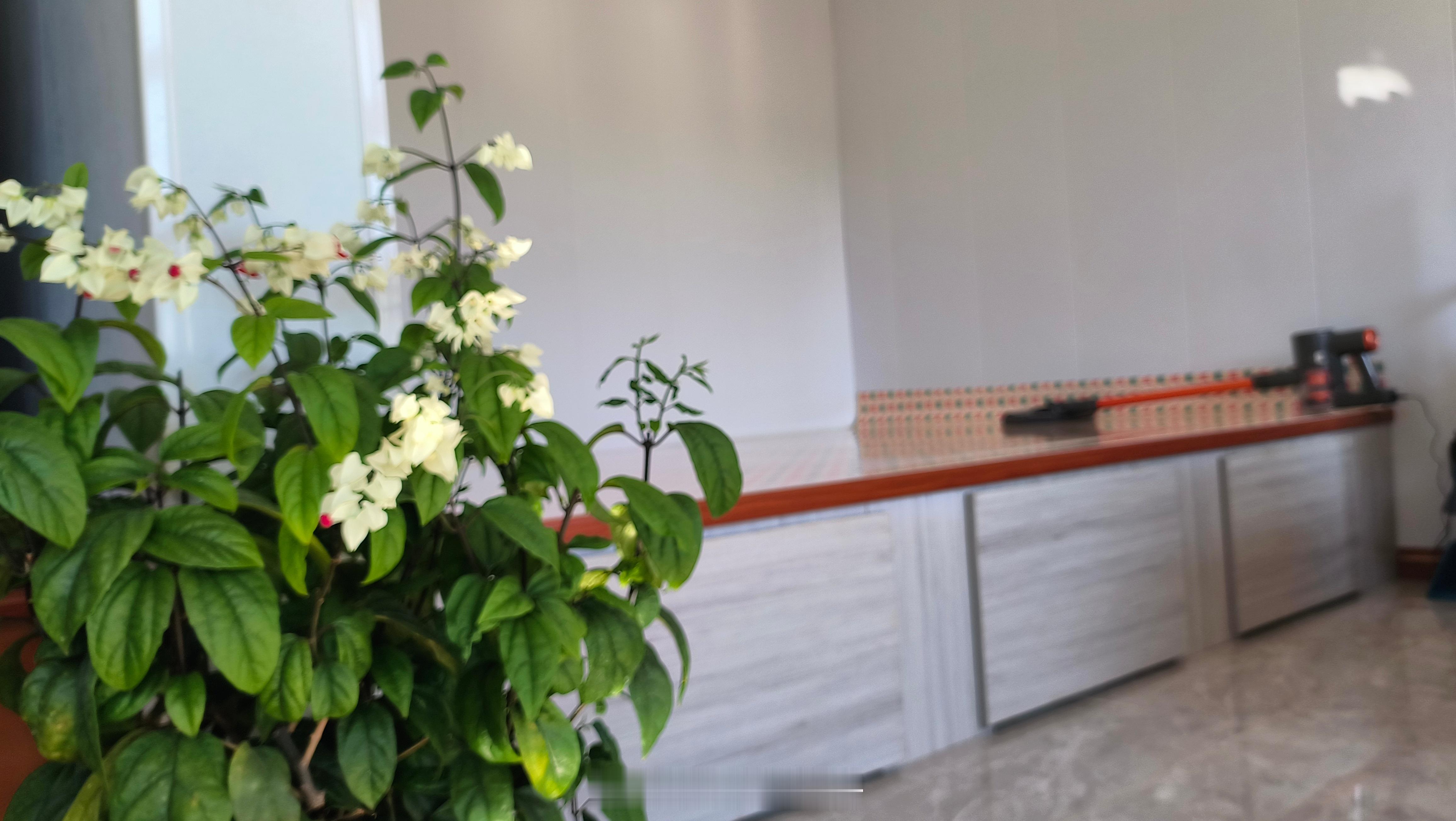 闲置1年的6米农村大炕过年睡满了农村大炕比城里的席梦思床有范。 庄河