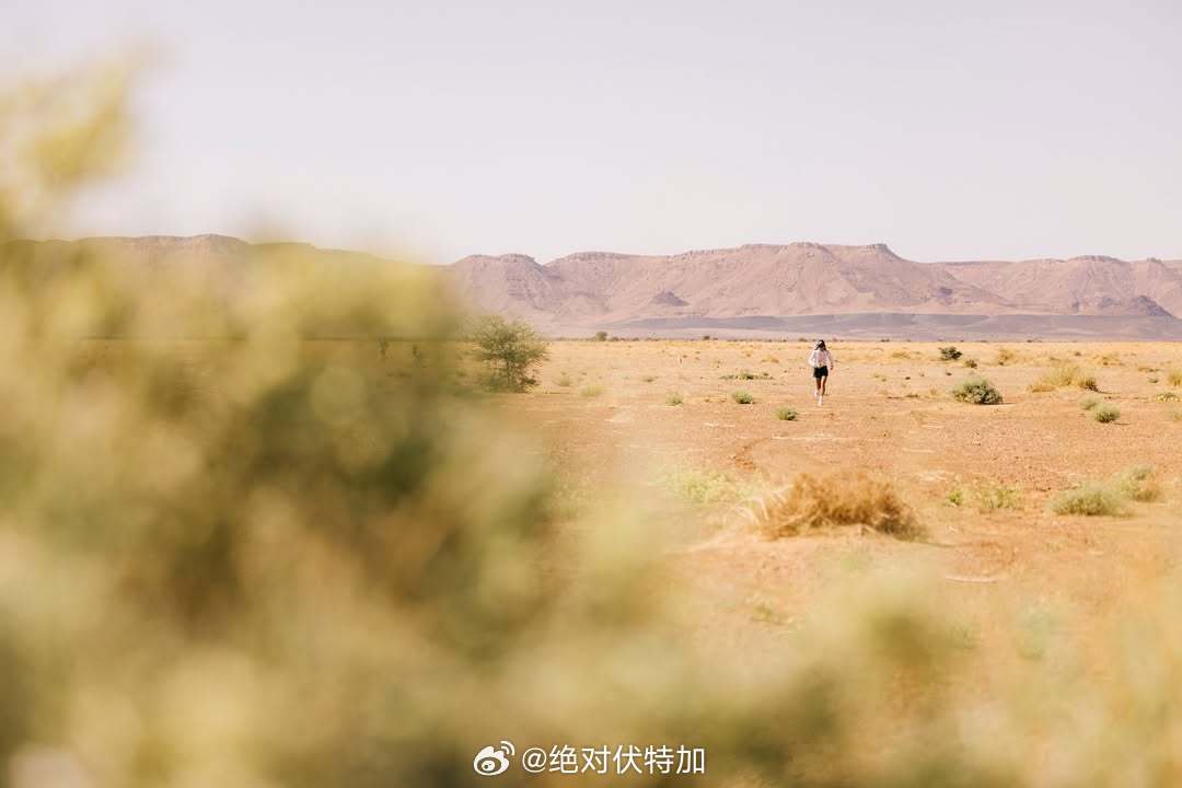 Des Linden 林登参加沙漠马拉松 MARATHON DES SABLES