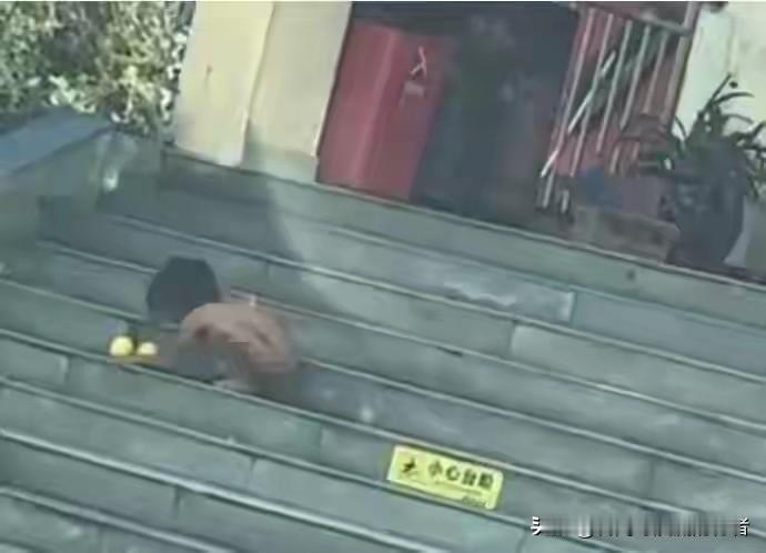 这哪儿是什么回归本质的教育尝试啊，根本就是拿“自由”当借口的不负责任！文明社会最