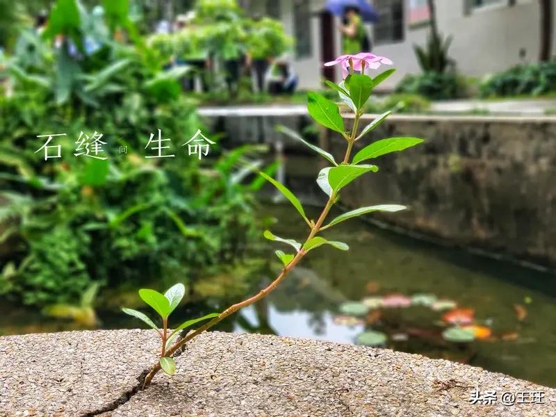 世界十大奢侈品：竟然无一与物质有关！
 
2016年底，美国《华盛顿邮报》评出的