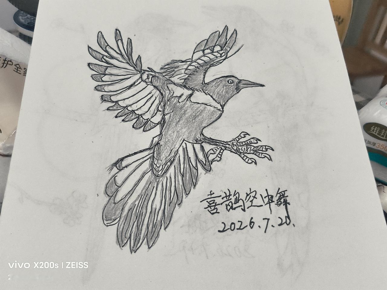 晒晒你喜欢的绘画作品昨日绘画作点喜鹊独舞。
