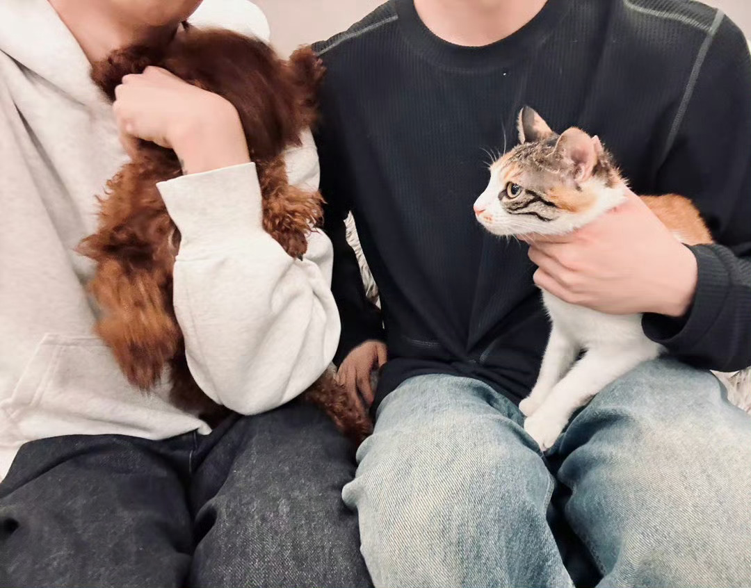 我一眼就看出了这是我的爸爸妈妈和我的弟弟妹妹🥺 