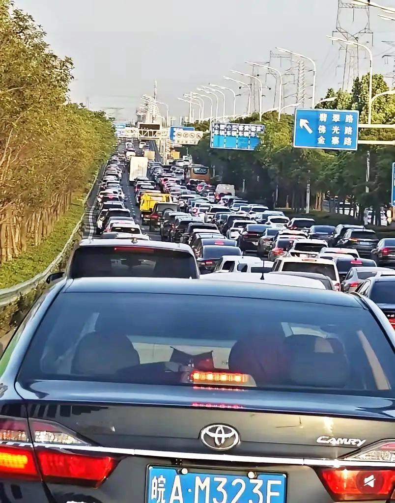 这下可太解气了！
950的交强险将成为历史，
因为6月1号开始，正式确立了“奖优