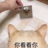 纳宝热读历史