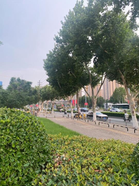 雨后的安逸