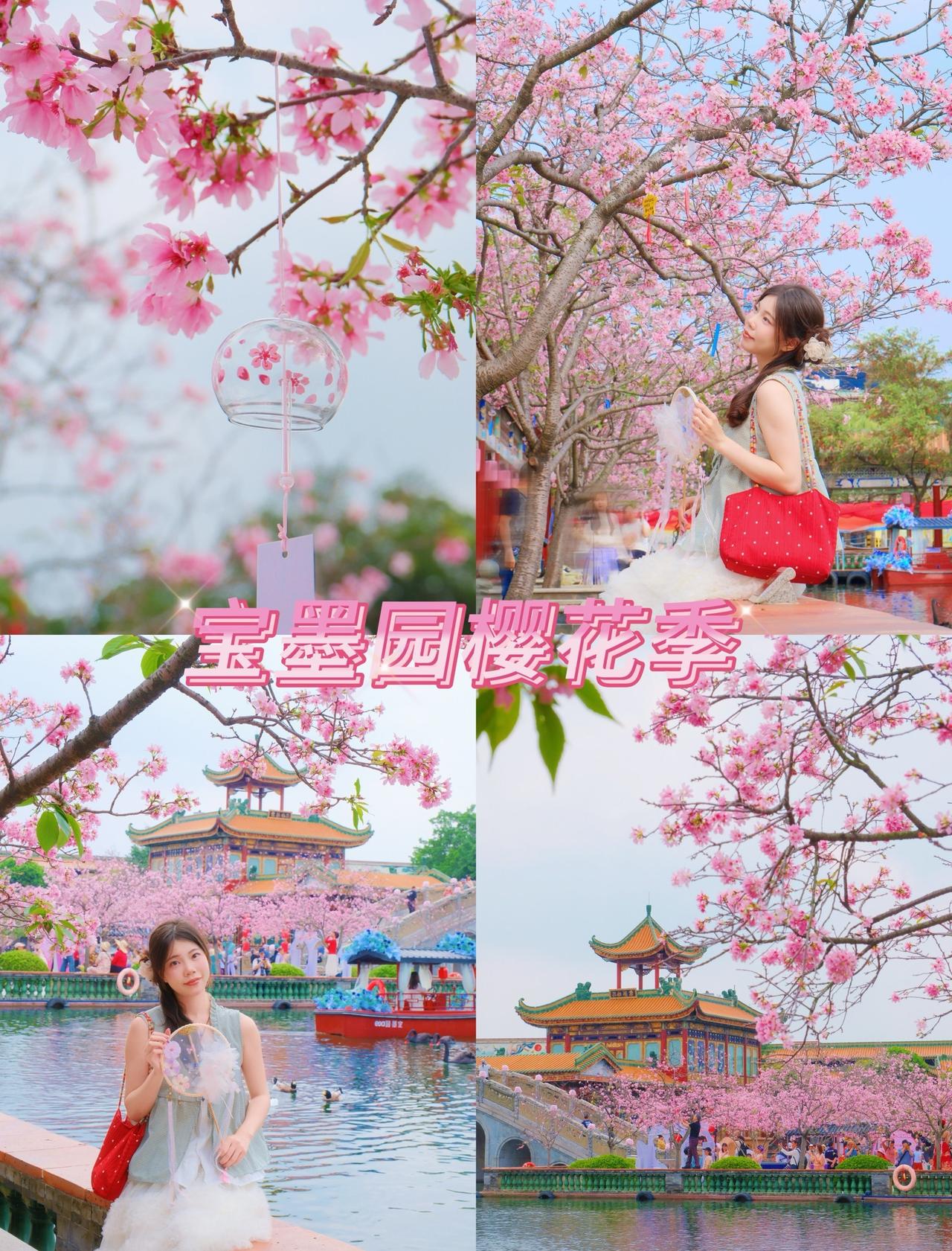 宝墨园樱花已到盛花期🌸与古亭相映太绝了～
📍广州 
3.24实拍📸
宝墨园