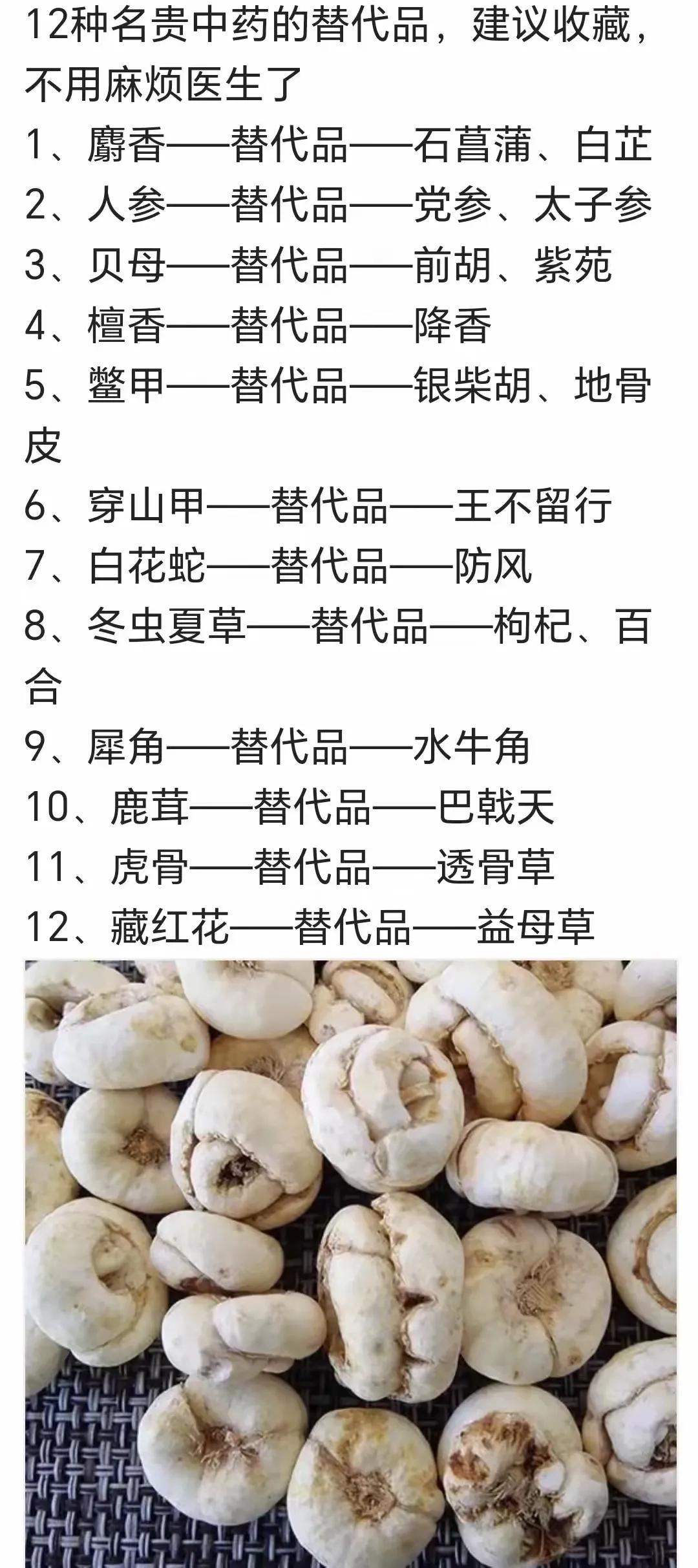 你是否听说过穿山甲因为被当作药材而遭受捕杀？其实，许多名贵中药都有替代品！今天，