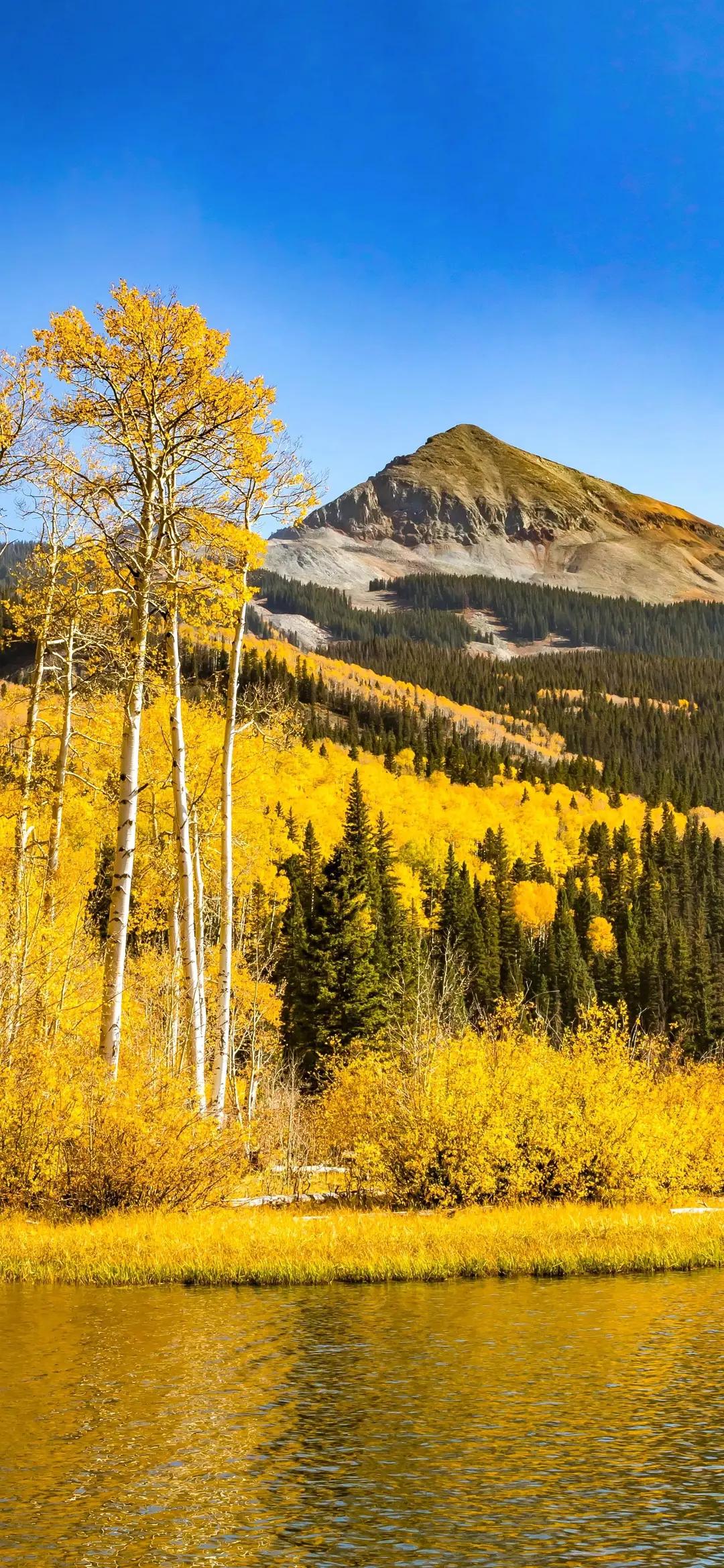 拔了一颗牙花了300多，非常感慨，如果是在国外，直接掉到了斩杀线下边，房子没了，