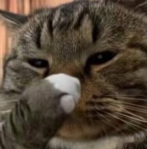 滔搏感觉关键比赛已经输了BLG100次，第1次赢居然出现在世界赛瑞士轮最后一轮吗