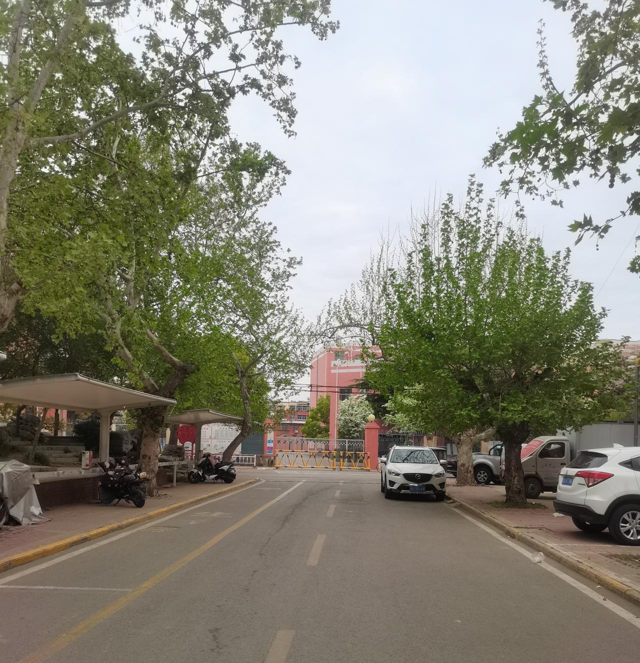 今天捐了儿子的五双鞋子 ，我的二双，虽然不是全新的，因儿子去部队，穿不着，捐出去