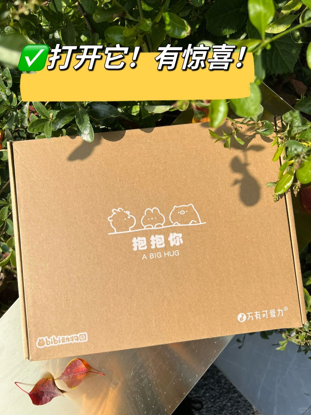 🤩天呐‼️这一箱子全是惊喜🍀