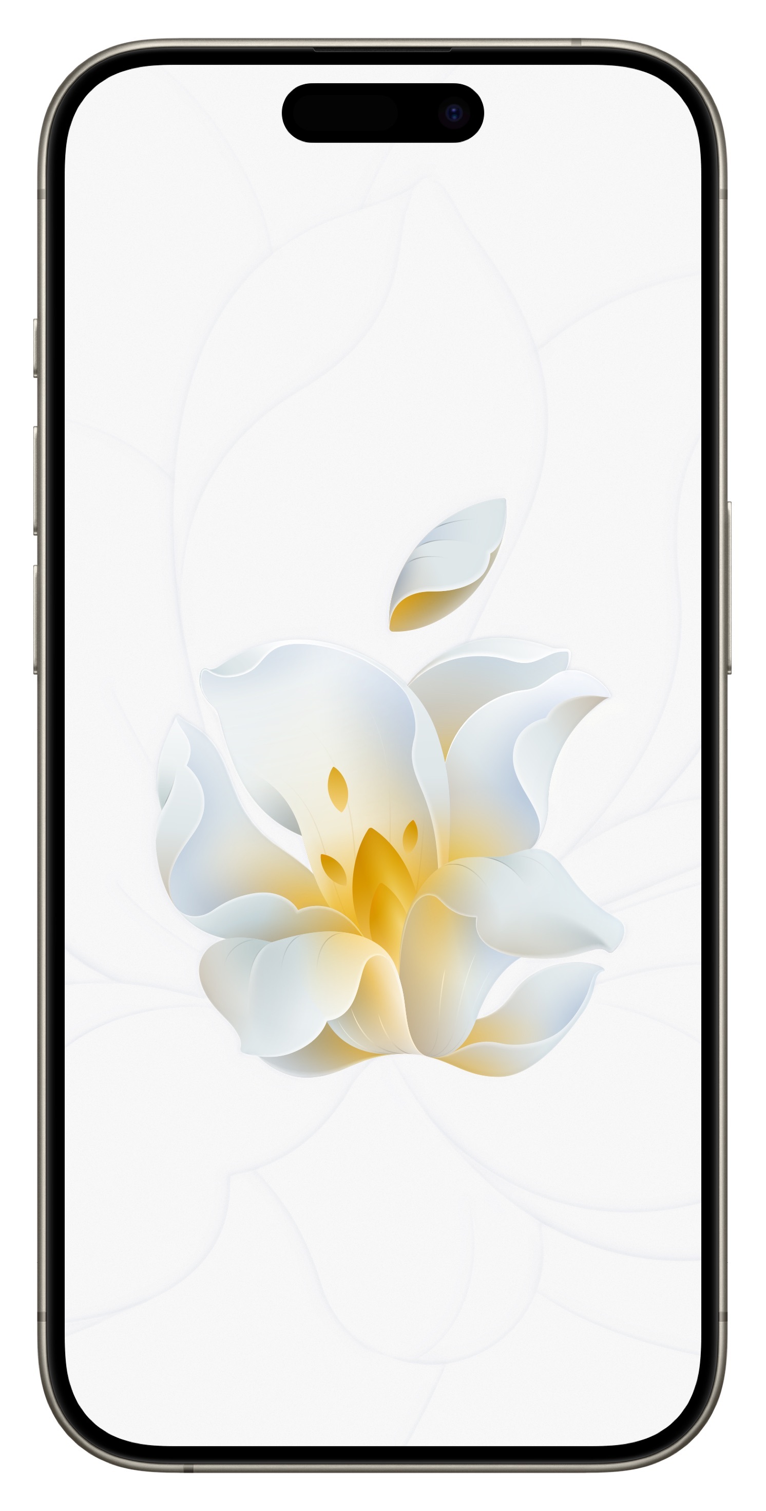 Apple静安这个专属壁纸还挺好看的，我给大家下载下来了，不用谢，这是靓仔应该做