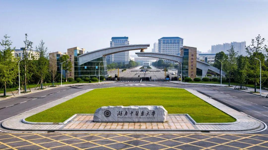 年届耳顺的戴爱国，无疑是湖南卫健领域的一条大鱼，他从业履职一直都深耕于湖南，当过