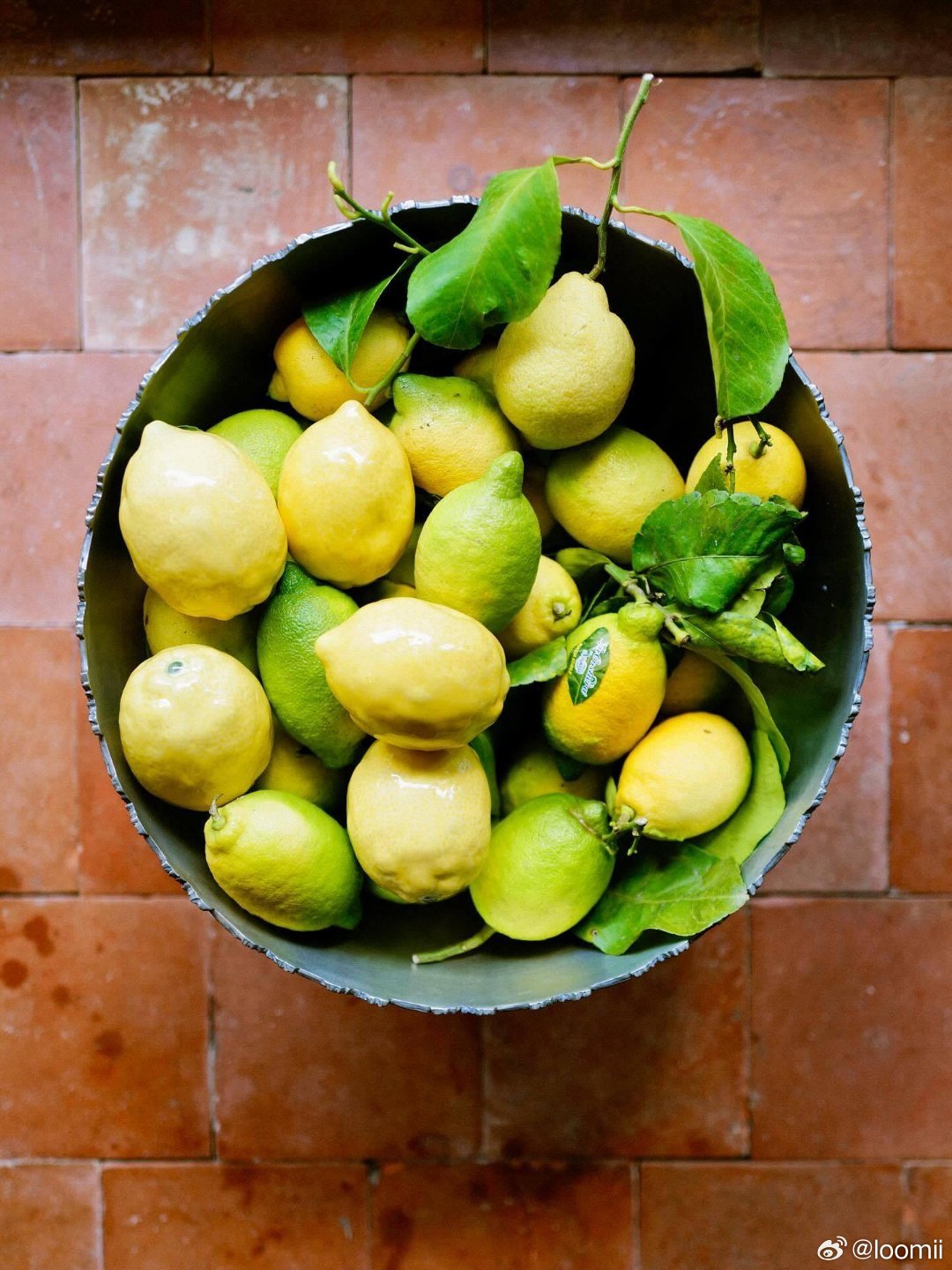 🍋 柠檬味儿的夏天📷 by Charlotte Bland 