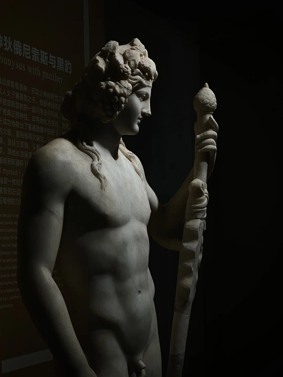 北京新展｜三山五园的古希腊展
