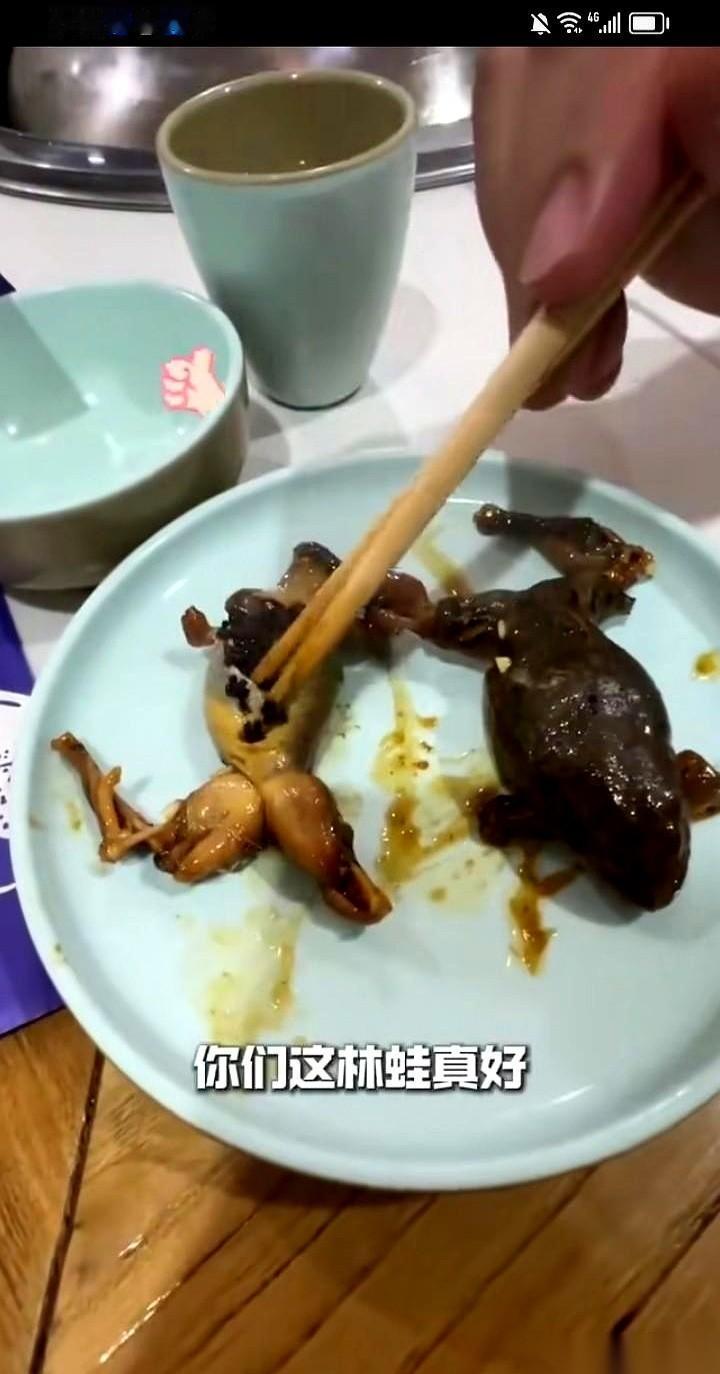 讲真，当阎鹤祥他们那一大盘子牛蛙端上来的时候，我整个人是有点懵的。
开着房车，带