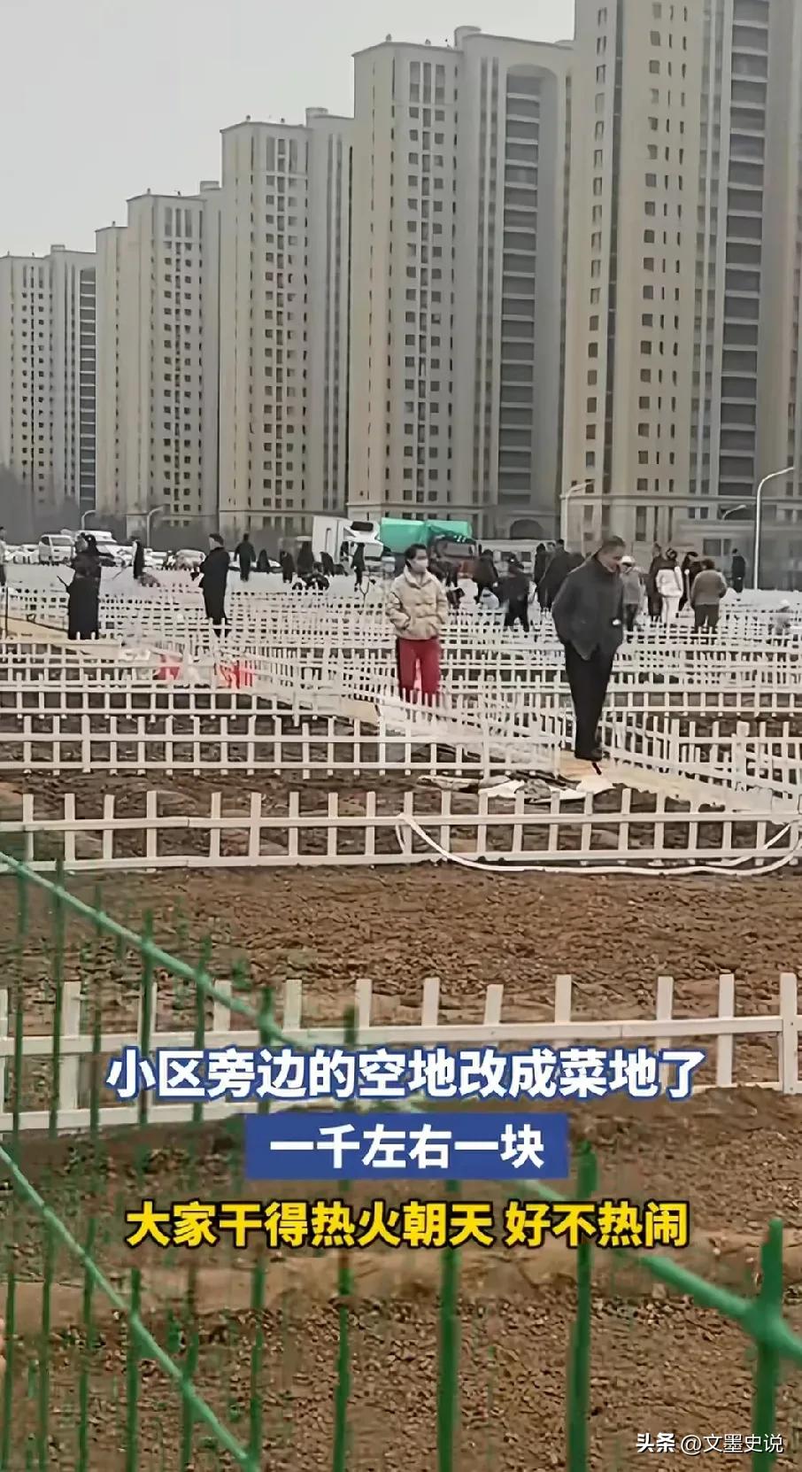 花一千块，在小区当“快乐农场主理人”
 
最近小区旁的荒地火了，白栅栏一围，就成