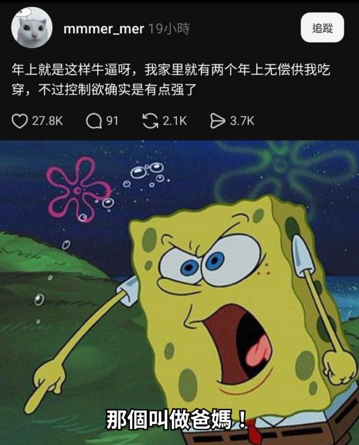 还喜欢年上吗memes