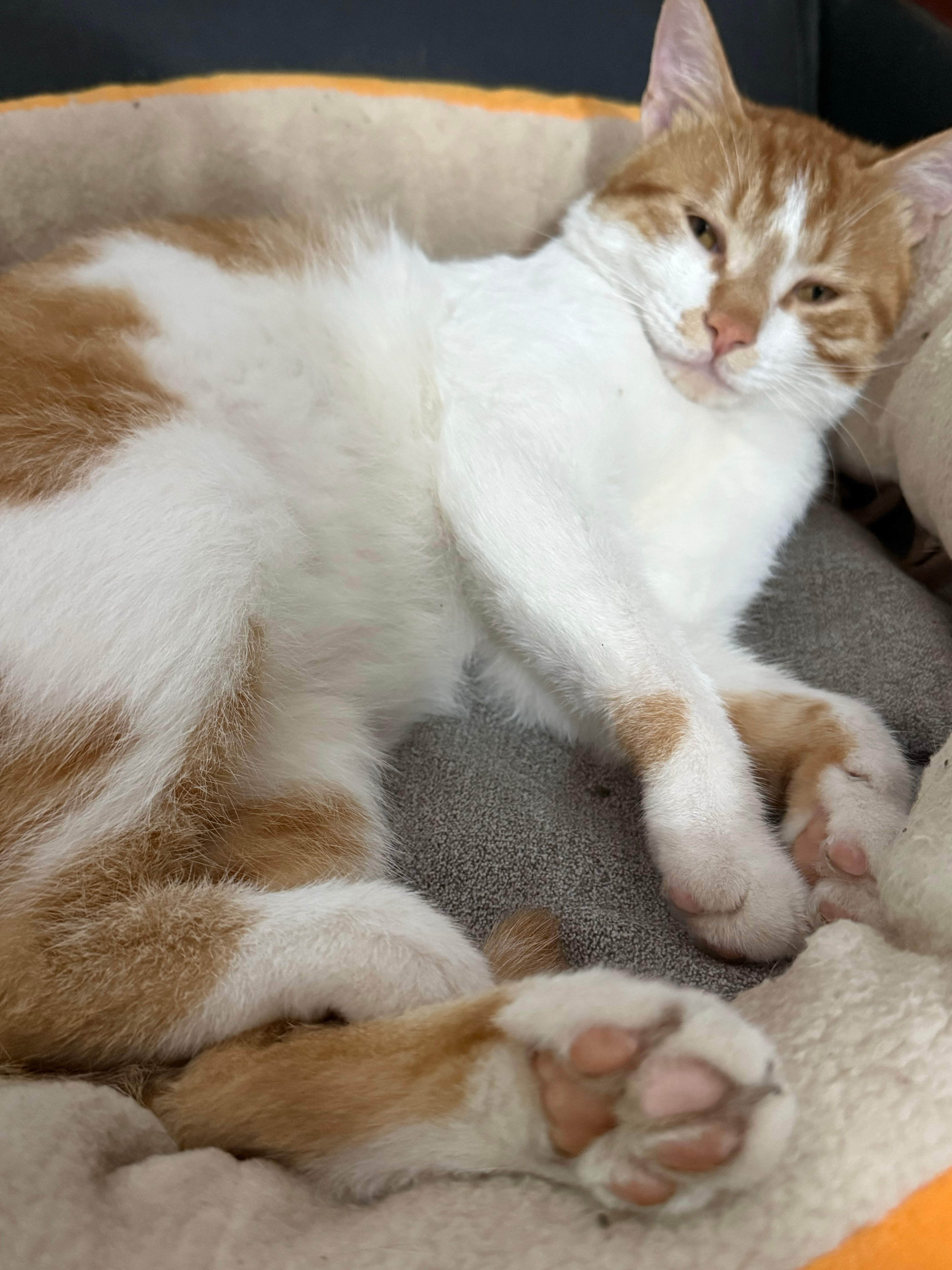 今日要闻 