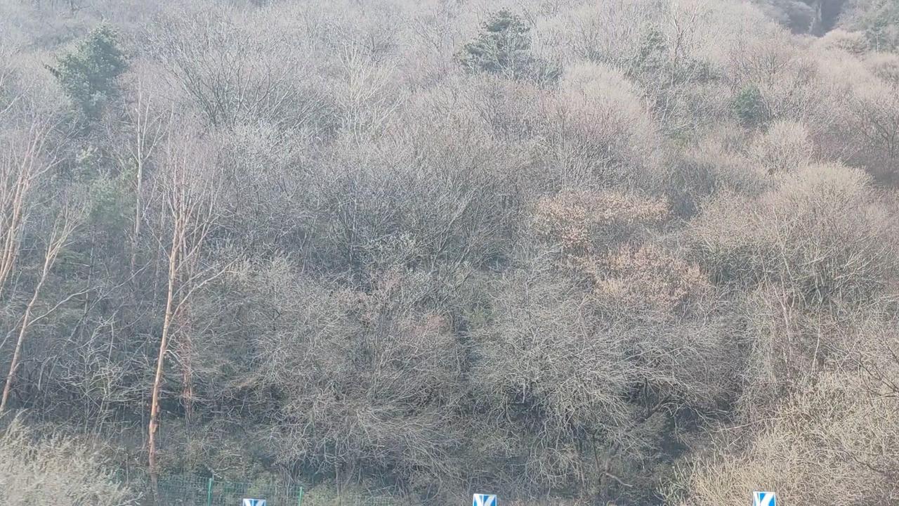 🌿秦岭210国道自驾，被山川温柔环抱的幸福时刻
行驶在210国道上，秦岭的群山