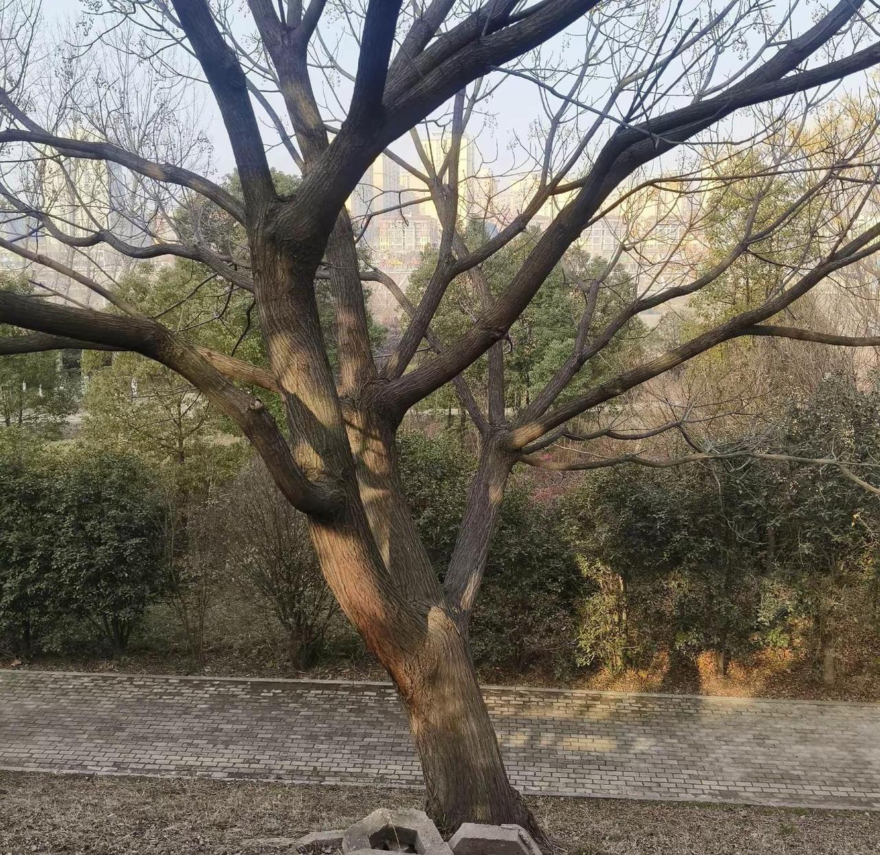 看短剧老是有穿越的凭空消失，啥时候也把我凭空消失了？